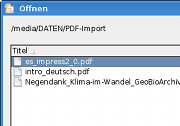 PDF-Import.png