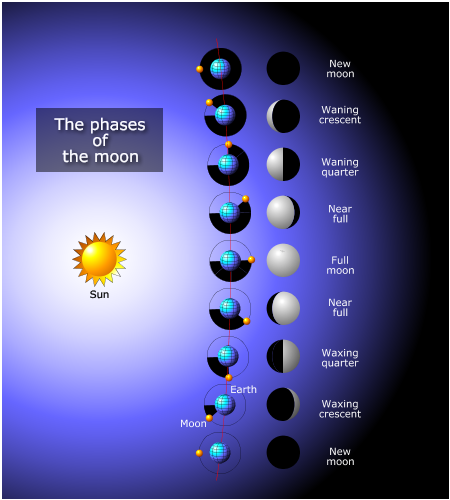moon phases. moonPhases.png