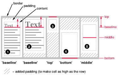 Example of vertically
aligning the cells