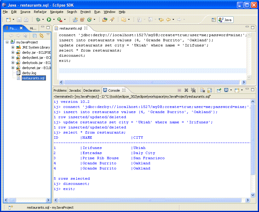Console view of ij script output